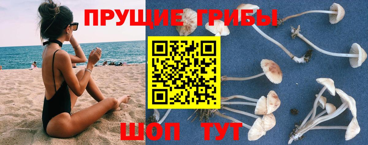 Галлюциногенные грибы мицелий  Псилоцибиновые грибы мухоморы  Сочи  Вход с VPN 