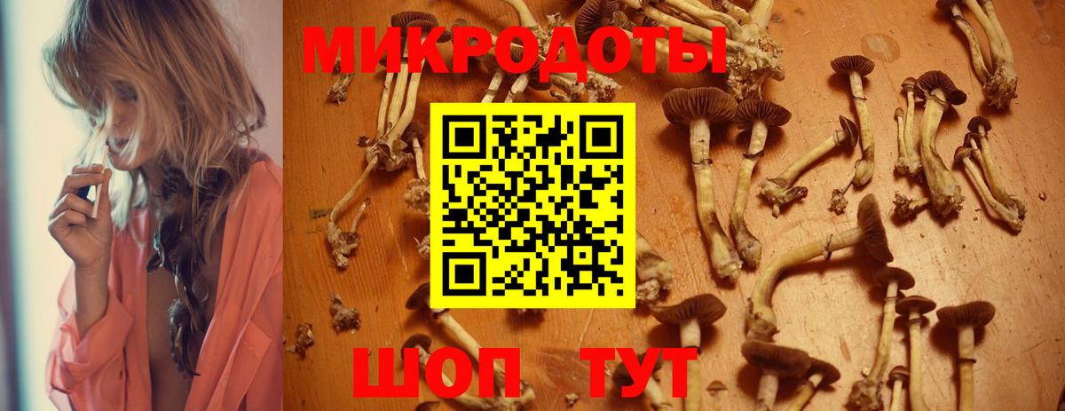 Псилоцибиновые грибы прущие грибы Сочи